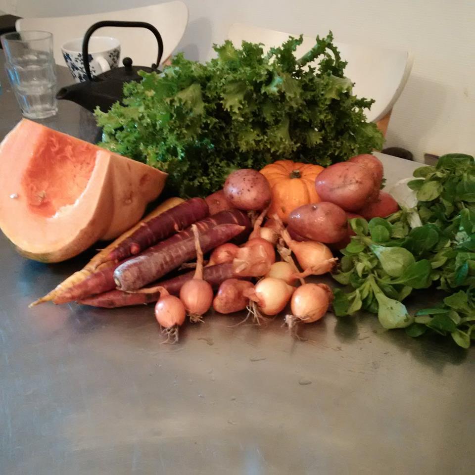 Panier de légume