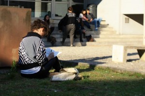 IMG_8230 (Copier)