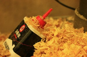 IMG_8275 (Copier)