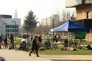 IMG_8347 (Copier)