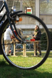 IMG_8370 (Copier)